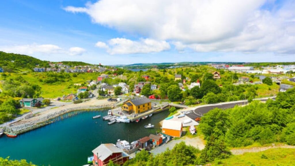 colorful houses and harbor view of st. john’s newfoundland 20251112 223002 0000