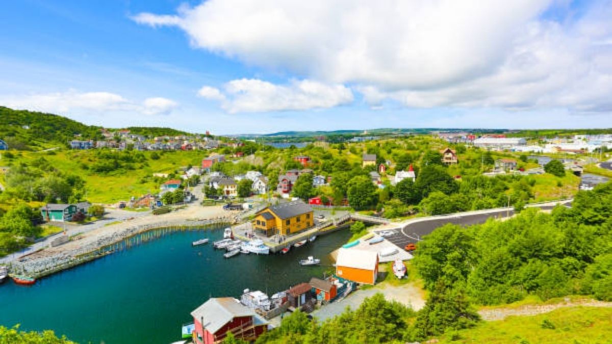 colorful houses and harbor view of st. john’s newfoundland 20251112 223002 0000