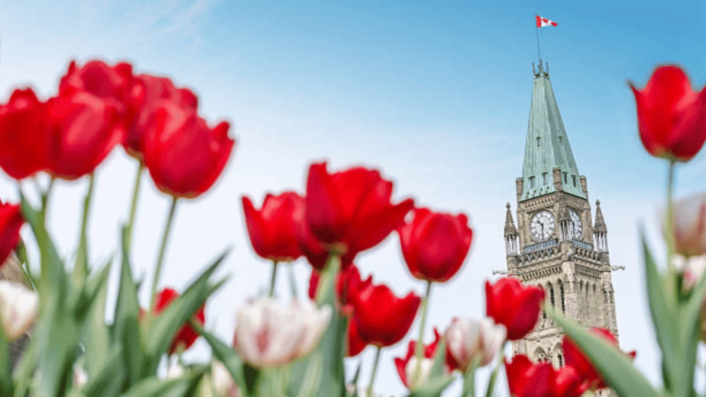 the beautiful view of parliament hill ottawa, canada 20260612 120714 0000