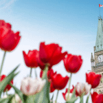 Best Things to Do in Ottawa, Canada: 15 Unforgettable Experiences for First-Time Visitors the beautiful view of parliament hill ottawa, canada 20260612 120714 0000